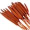 Dried Plant Bunny Tail Natural Foliage with Long Stems